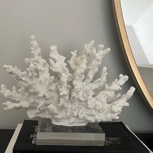 Decorative White Coral Sculpture
